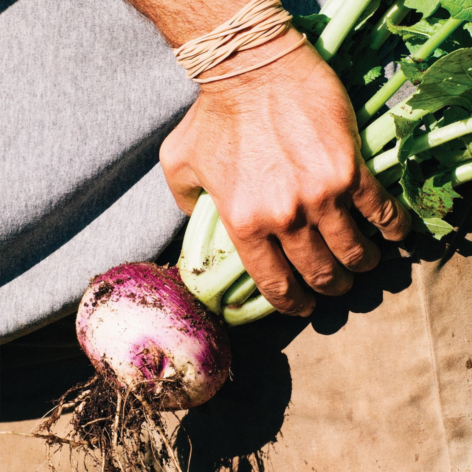 FARE — Fresh from the farm